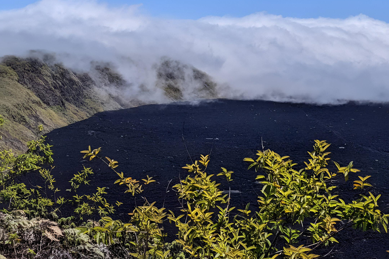 Conquer the Sierra Negra Volcano! One of the best treks in South America.