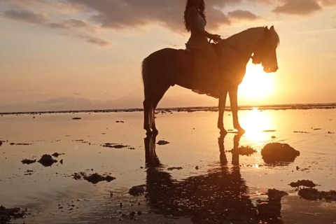 Gili Islands: Horseback Ride on the Beach