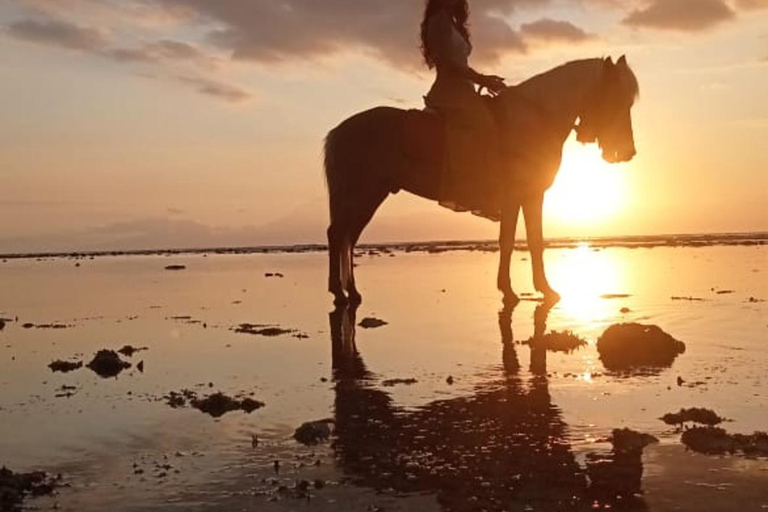Gili Islands: Horseback Ride on the Beach