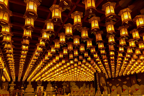 Hiroshima & Miyajima 1-Day Private Tour with Local Guide