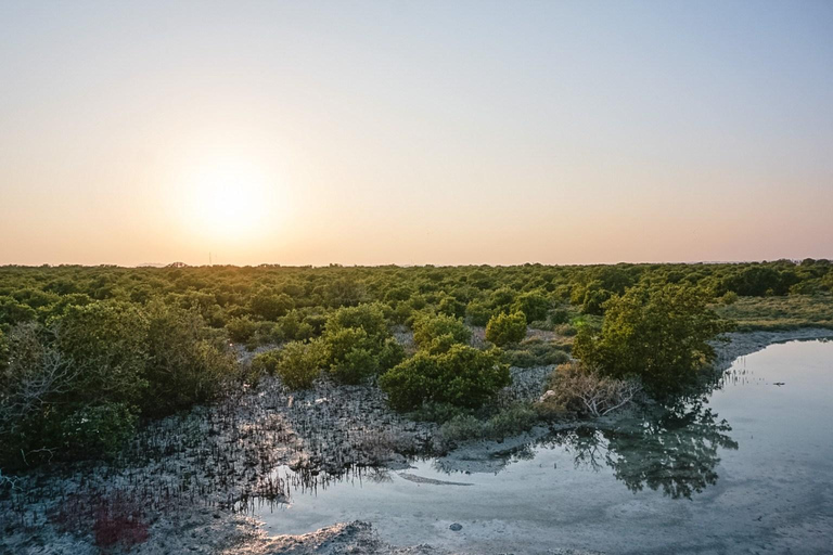 Von Doha aus: Kultur &amp; Geschichte Katars Tour in den Norden und Westen