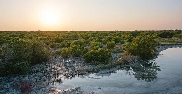 From Doha: Culture & History Qatar Tour to the North & West photo 13