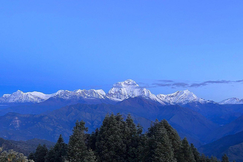 Pokhara: 5-Day Poon Hill Trek with Guide and Transfers