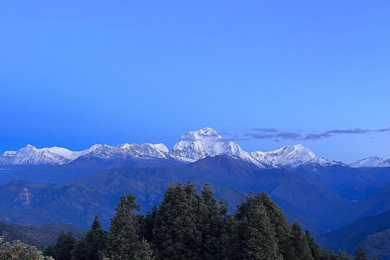 Pokhara: 5-Day Poon Hill Trek with Guide and Transfers