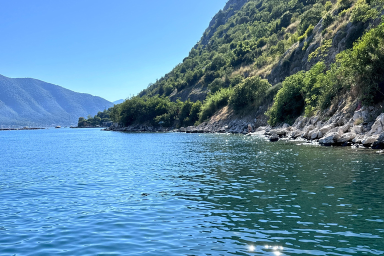 Kotor: Boka Bay Speedboat Tour with Breakfast & Lunch