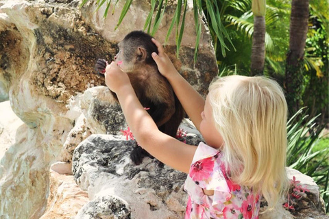 Punta Cana: Monkey Houses and Parrots Park with Hotel Pickup