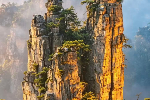 Zhangjiajie National Forest Park Entry Ticket Zhangjiajie National Forest Park East Gate Ticket