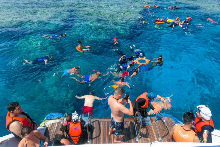 Marsa Alam: Dolphin House Adventure at Shaab Samadai Reef