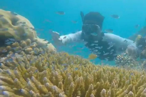 Lombok : Snorkeling Tour Secret Gili, Nanggu, Kedis, Sudak