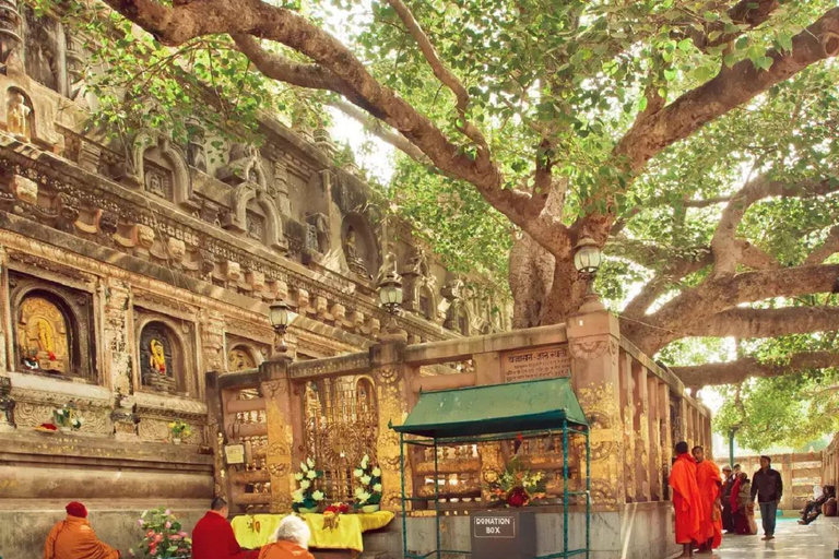 Exclusive, Buddhist Circuit Tour (04 Nights - 05 Days)