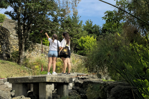 Visite à pied de la ville d&#039;Angra do Heroísmo