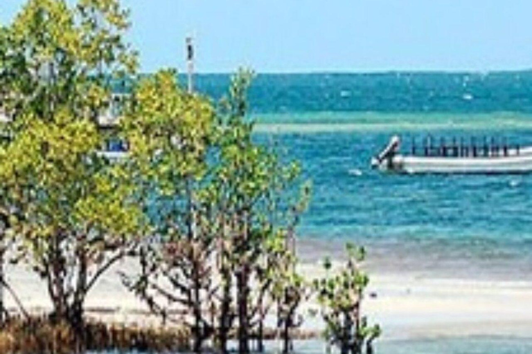 Diani: Passeio de um dia à Ilha Funzi com almoço e passeio de barcoDiani: passeio de um dia à ilha Funzi com almoço e passeio de barco