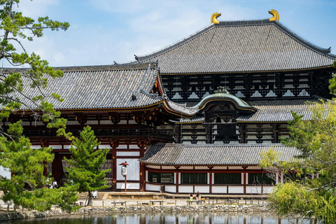 Private Kyoto & Nara Day Tour with English Driver Guide⭐BEST