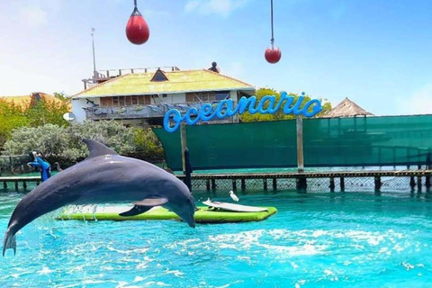 Cartagena: Rosario Oceanarium, Snorkel & Swim with Dolphins Cartagena: Rosario Islands Tour with Oceanarium & Snorkeling
