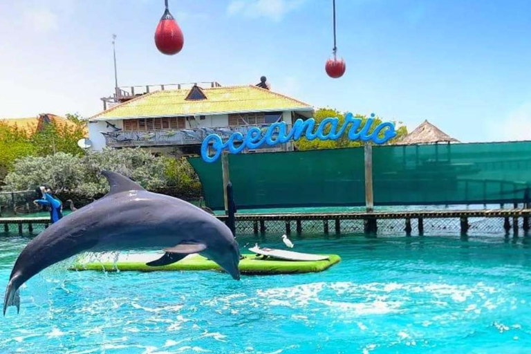 Cartagena: Rosario Oceanarium, Snorkel & Swim with Dolphins Cartagena: Rosario Islands Tour with Oceanarium & Snorkeling