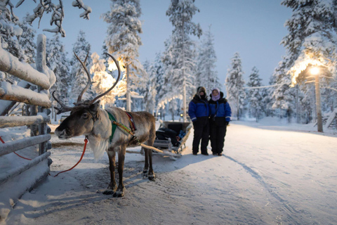 Rovaniemi: Besök på en traditionell renfarm och åktur i släde