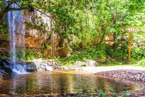 Full-Day Shimba Hills Safari: Wildlife & Sheldrick Falls