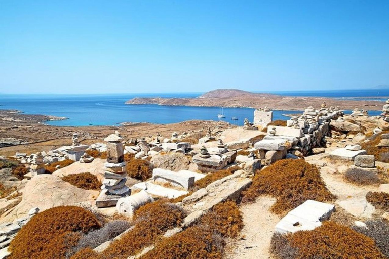 Delos och Mykonos endagskryssning från Naxos