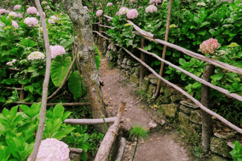 Cajamarca: Tour a la Necrópolis Pre Inca Otuzco, Jardín Botánico y HaciendaEn español