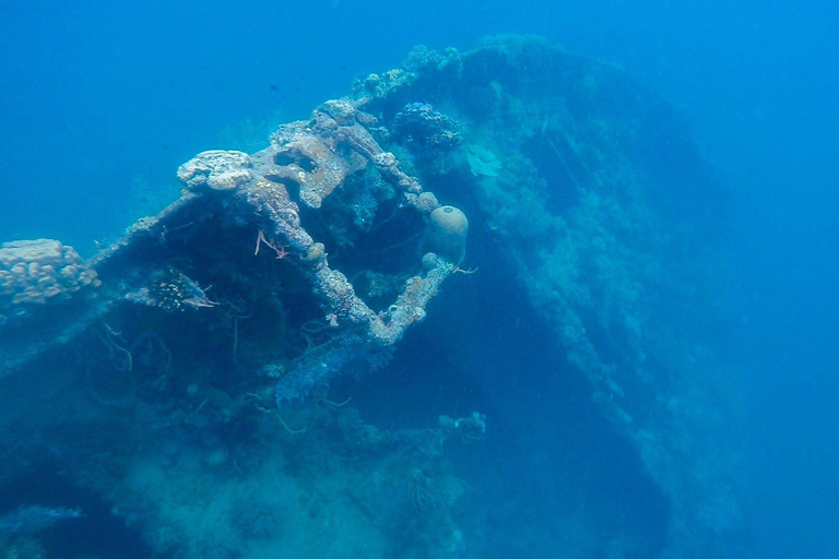 Coron: Private Speedboat to Pass Island, Reef & Ship Wrecks