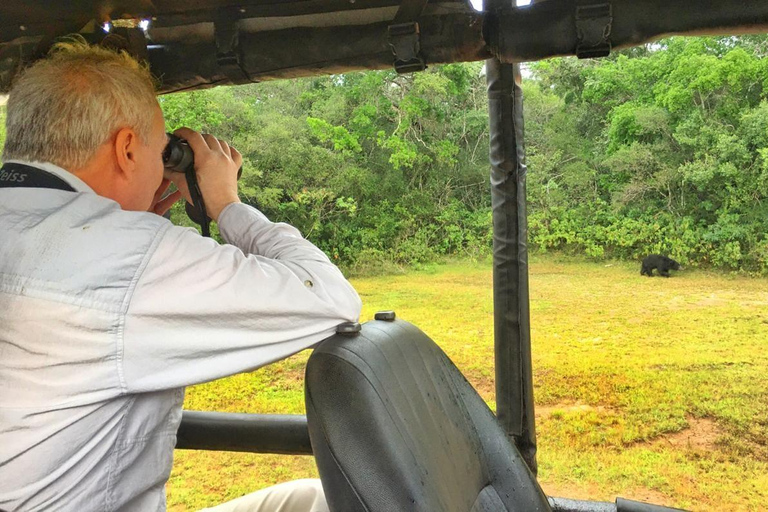 Wilpattu: Private Safari Day Trip with Lunch & Entry Fees Pick up from Colombo/Mt Lavinia/Negombo/Katunayaka/Waikkal