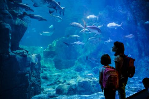 Aquarium de Paris : billet d'entrée