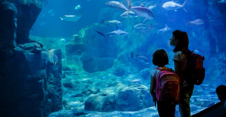 Paris: Aquarium de Paris Entrance Ticket | GetYourGuide