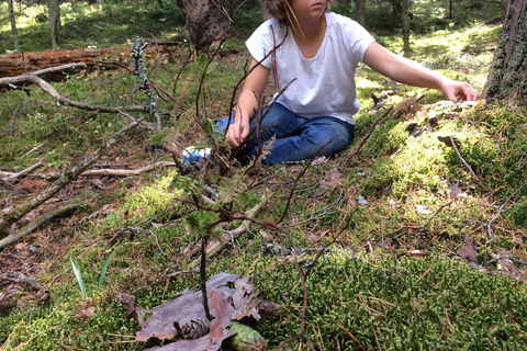 Stockholm: Dog Walk in Nature Reserve with Swedish Fika