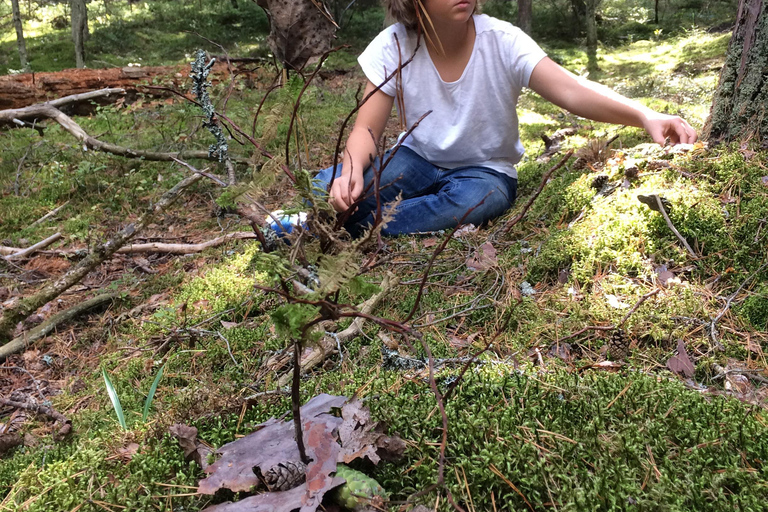 Stockholm: Dog Walk in Nature Reserve with Swedish Fika