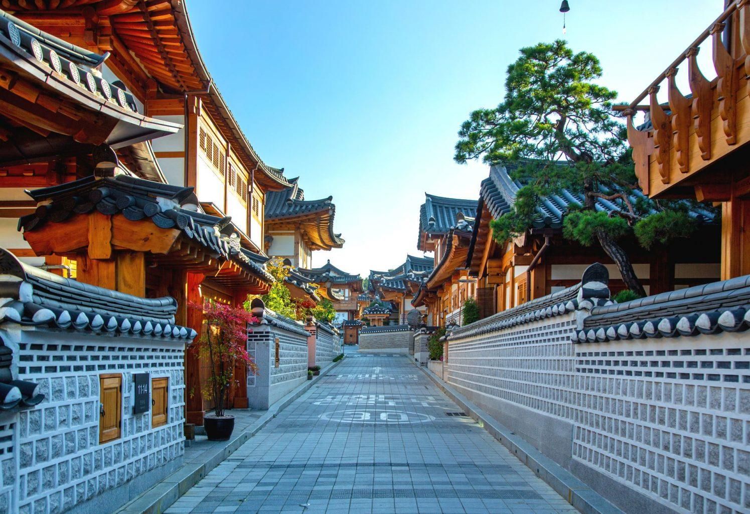 Seoul: Private Tour mit Charterwagen durch die Stadt oder die Vororte für 10 Stunden
