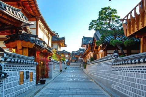 Seoul and Suburbs Private Chartered Car Tour