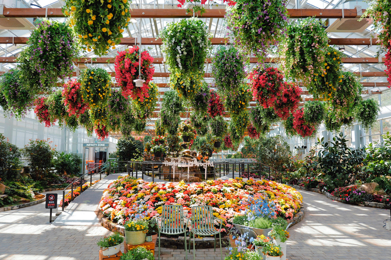 Gyeonggi Begonia Bird Park Ticket