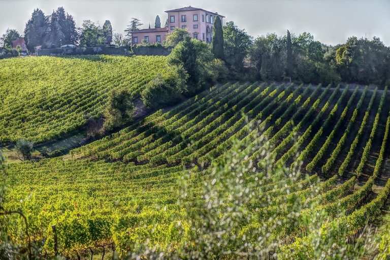 Desde Florencia: Tour de vino por el día de Bolgheri