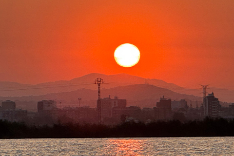 Valencia: Epic Albufera Sunset adventures and fun Albufera experience May 2026