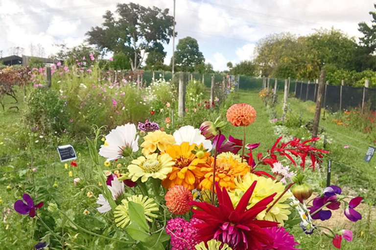 Extravagância privada de jardins e esculturas em AucklandO melhor jardim e escultura extravagante de Auckland!