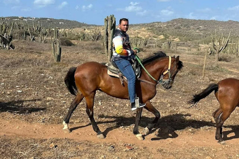 Aruba: Horseback Morning Tour and Beach Ride