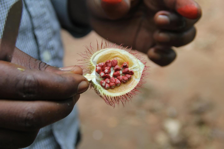Zanzibar : excursion d'une demi-journée à la ferme aux épices et dans la forêt de Jozani