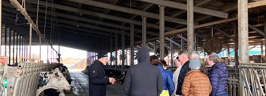 Bologne : excursion d'une journée avec déjeuner léger à la découverte de Ferrari, du parmesan et du vinaigre balsamique