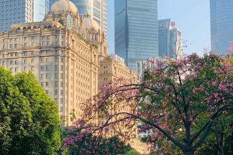 Guangzhou: Private Modern & Historic Landmarks City Tour