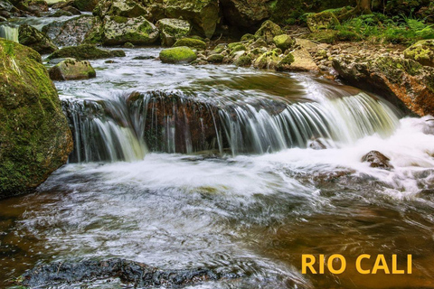 Cali: Trilha de montanha com guia e recolha ecológicaCali: Trilha na montanha com guia e coleta ecológica