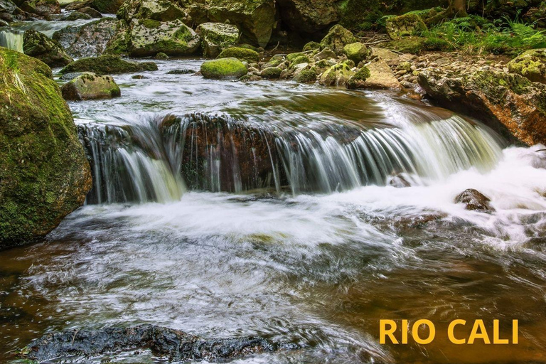 Cali: Trilha de montanha com guia e recolha ecológicaCali: Trilha na montanha com guia e coleta ecológica