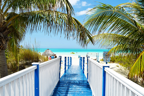 Negril: VIP Jamaica Airport Welcome Experience