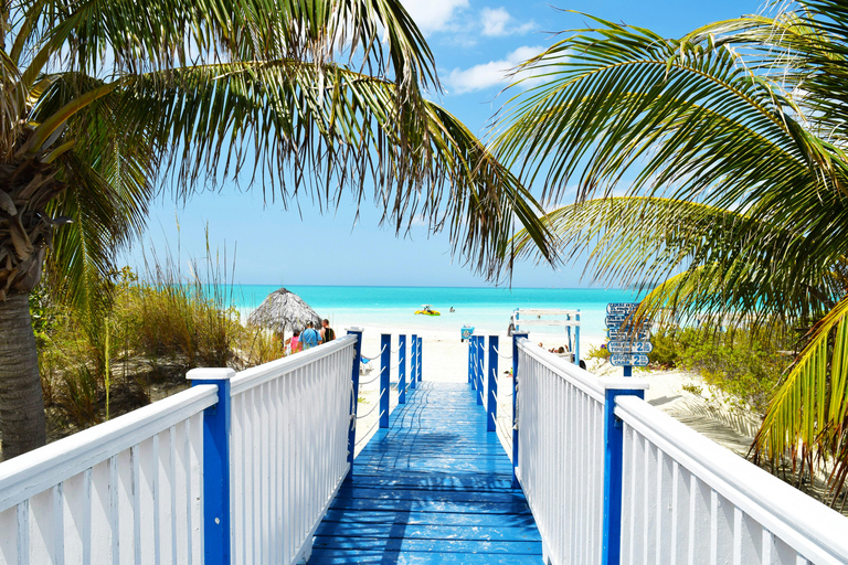 Negril: VIP Jamaica Airport Welcome Experience