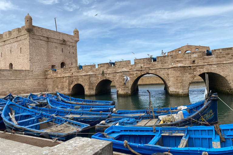 Day trip to Essaouira