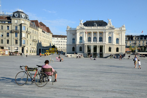 Privat dagstur med vandring i Zürich