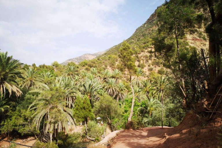 Agadir: Paradise Valley & Desert Sand Dunes With Camel Ride Paradise Valley & Desert Sand Dunes With Camel Ride