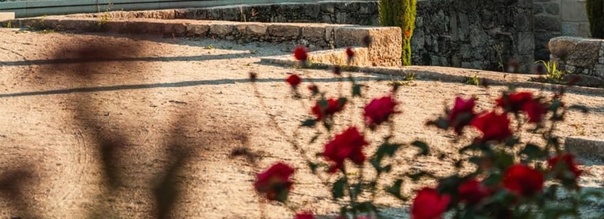 Monção : dégustation de vin à Quinta da Torre avec collations régionales