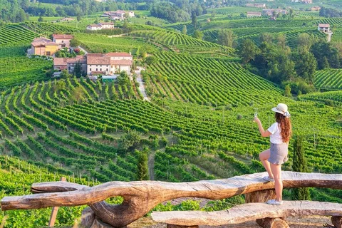 From Venice: Wine and Food tour in the Prosecco Hills