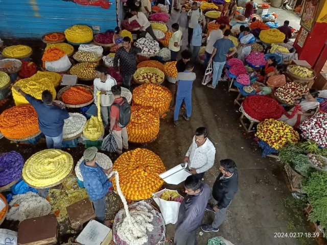 Visit Bangalore- Food street walk and market visit in evening in kr market