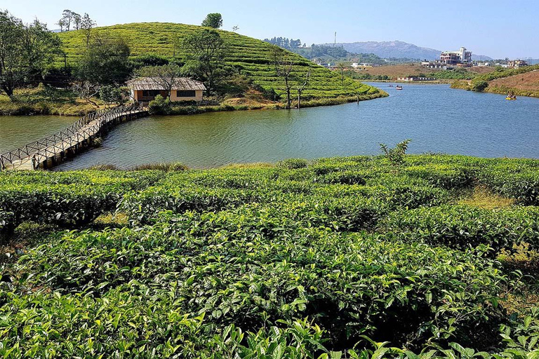 科钦：瓦加蒙、阿勒皮和库马拉科姆 5 日游科钦：瓦加蒙、阿勒佩和库马拉科姆 5 日游